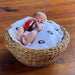 University of Georgia Swaddle Blanket